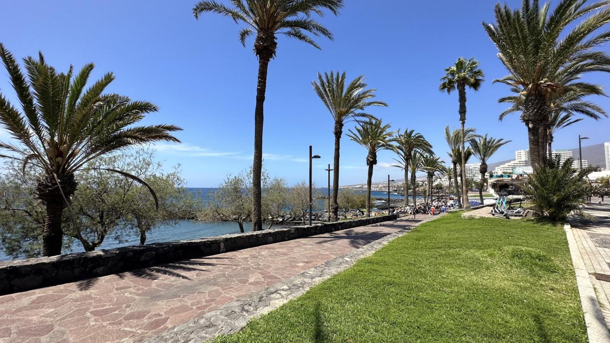 Fantastic Vacation By The Ocean Lejlighed Playa de las Américas Eksteriør billede